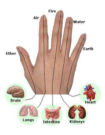 diagnosis meter