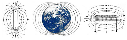 The terrestrial magnetism-Bioriposo